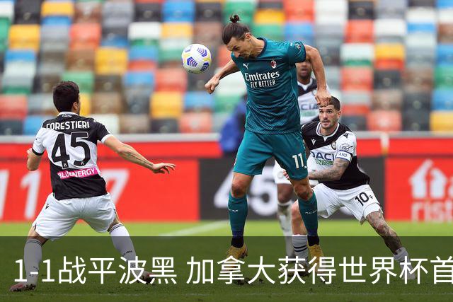 1-1战平波黑 加拿大获得世界杯首个积分